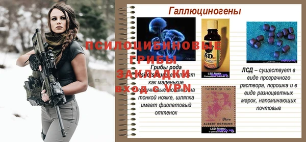 МДПВ Алзамай