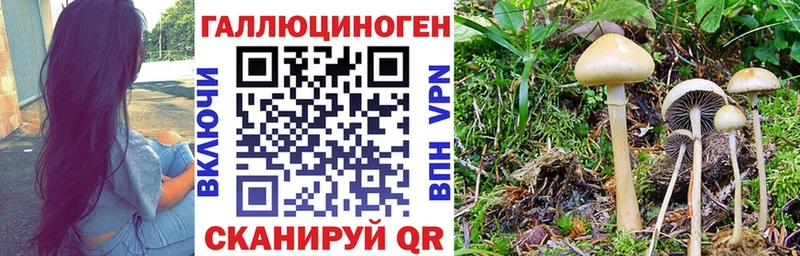 Галлюциногенные грибы ЛСД Ладушкин